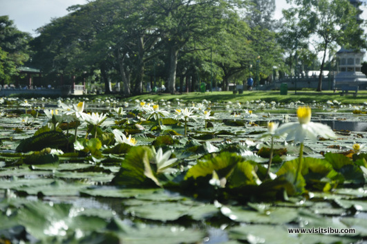 Ku Tien Memorial Garden