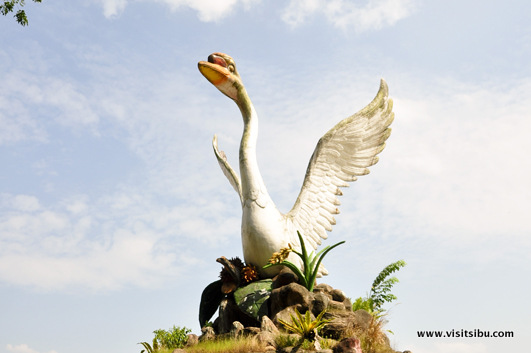 Swan of Sibu